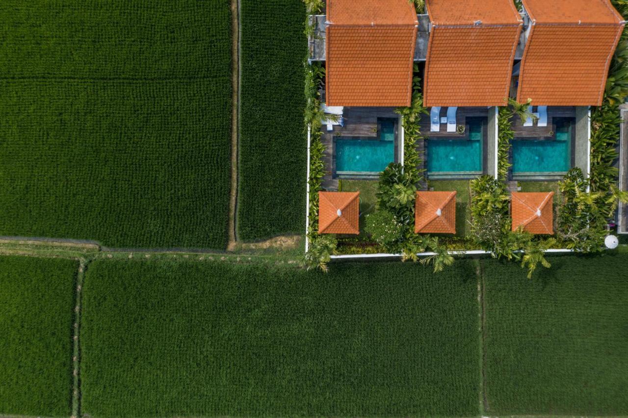 Sawah Villas Ubud  Bagian luar foto